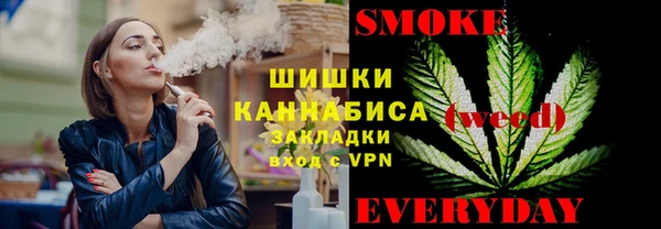 трава Пересвет