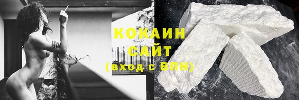 трава Пересвет