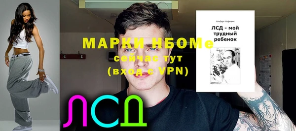 ПСИЛОЦИБИНОВЫЕ ГРИБЫ Переславль-Залесский
