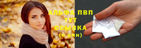 ПСИЛОЦИБИНОВЫЕ ГРИБЫ Осинники