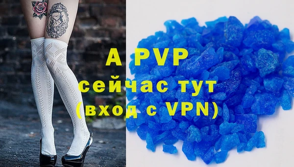 трава Пересвет