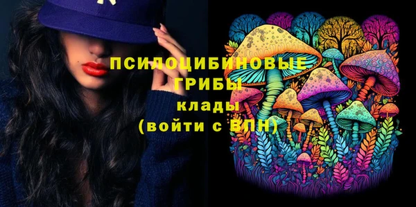 ПСИЛОЦИБИНОВЫЕ ГРИБЫ Переславль-Залесский