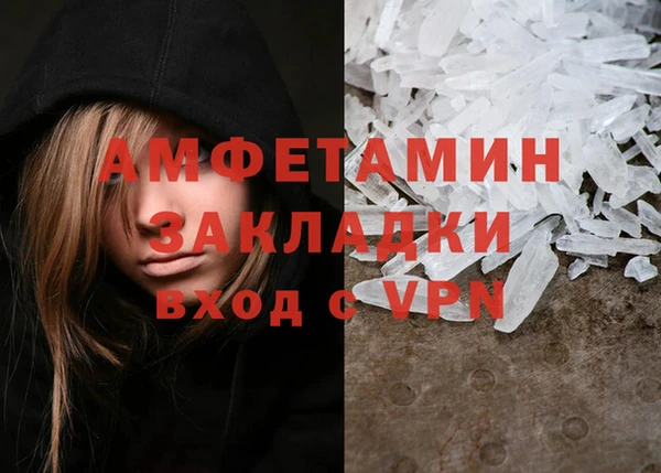 ПСИЛОЦИБИНОВЫЕ ГРИБЫ Переславль-Залесский