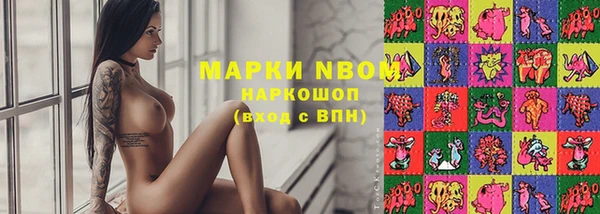 трава Пересвет
