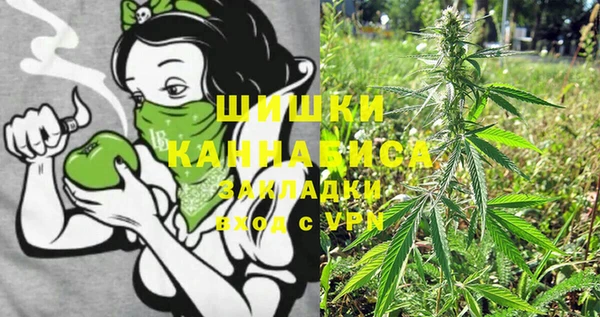 ПСИЛОЦИБИНОВЫЕ ГРИБЫ Переславль-Залесский
