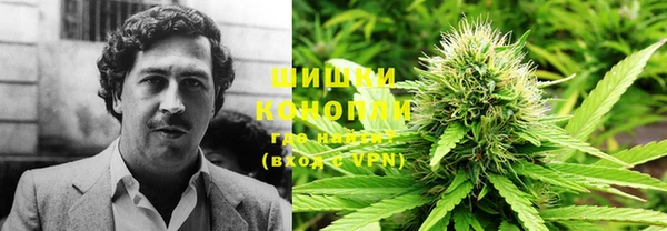 ПСИЛОЦИБИНОВЫЕ ГРИБЫ Переславль-Залесский