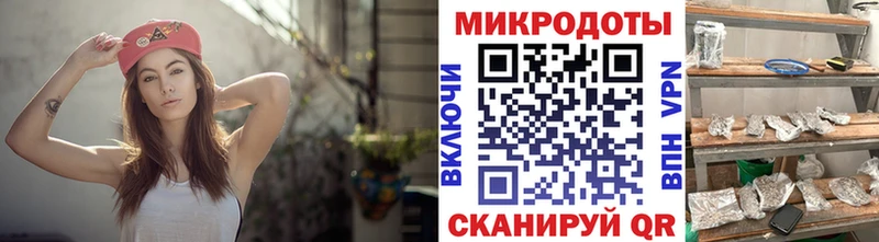 Купить закладки  Сунжа  Псилоцибиновые грибы прущие грибы 
